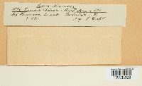 thumbnail image of current specimen
