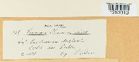 thumbnail image of current specimen