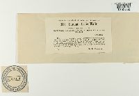 Puccinia iridis image