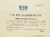 Image Associated With the Occurrence