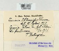 Image Associated With the Occurrence