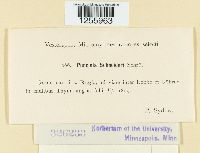 Thumbnail image of current specimen