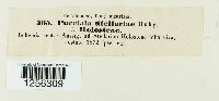 thumbnail image of current specimen