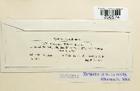 Puccinia hordei image