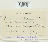 Puccinia dioicae image