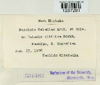 Puccinia haleniae image