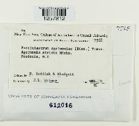 Pucciniastrum agrimoniae image