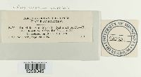 thumbnail image of current specimen
