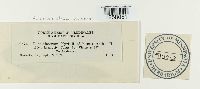 thumbnail image of current specimen
