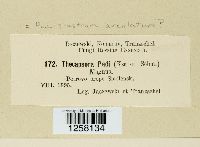 Thumbnail image of current specimen