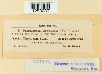 Pucciniastrum agrimoniae image