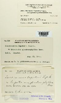 Image Associated With the Occurrence