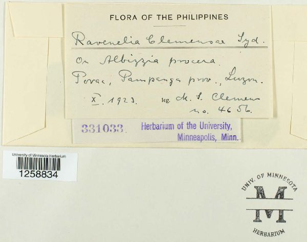 Ravenelia clemensae image