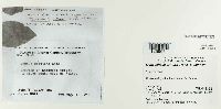 thumbnail image of current specimen