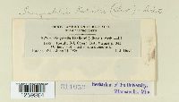 thumbnail image of current specimen