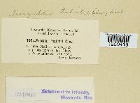 Thumbnail image of current specimen