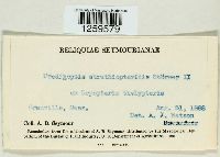 Image Associated With the Occurrence