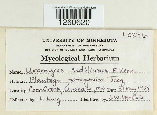 Uromyces seditiosus image