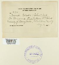 Image Associated With the Occurrence