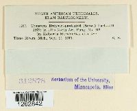 Uromyces hedysari-paniculati image