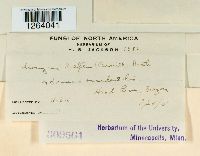 Uromyces silphii image