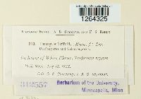 Uromyces trifolii image