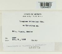 Image Associated With the Occurrence