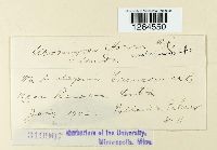 Uromyces asclepiadis image