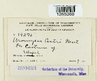 Image Associated With the Occurrence