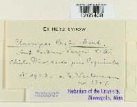 Image Associated With the Occurrence