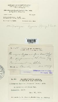 Image Associated With the Occurrence