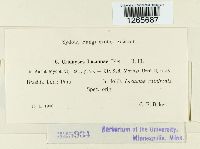 Image Associated With the Occurrence