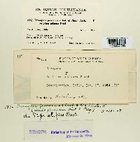 Image Associated With the Occurrence