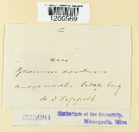 Image Associated With the Occurrence