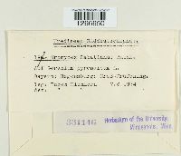 Uromyces geranii image