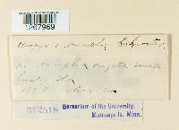 thumbnail image of current specimen