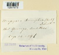 thumbnail image of current specimen
