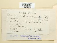 Image Associated With the Occurrence