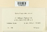 thumbnail image of current specimen