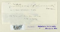 thumbnail image of current specimen