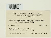 Thumbnail image of current specimen