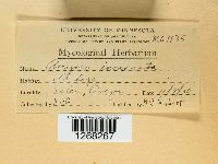 Image Associated With the Occurrence