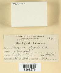 Image Associated With the Occurrence