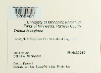 Image Associated With the Occurrence