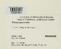 Image Associated With the Occurrence