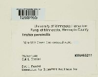 Image Associated With the Occurrence