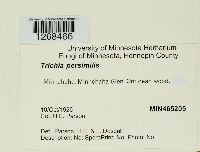 Image Associated With the Occurrence