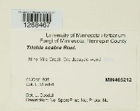 Image Associated With the Occurrence