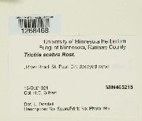 Image Associated With the Occurrence