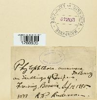 Image Associated With the Occurrence